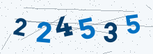 Six-digit verification code